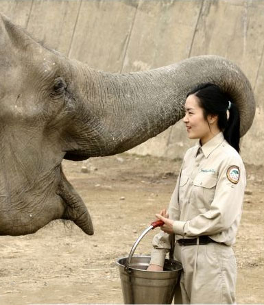 코끼리에게 먹이를 주는 김진아씨 모습
