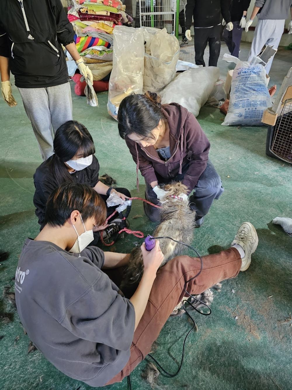 반려동물학부 2023-2학기 유기견 보호센터 사회 봉사활동 진행 사진2