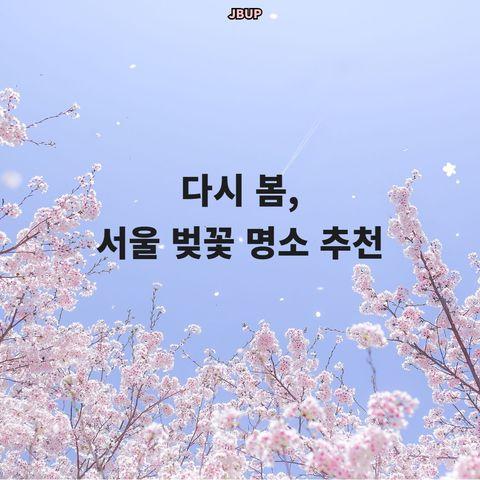 [카드뉴스]  ‘다시 봄, 서울 벚꽃 명소 추천’