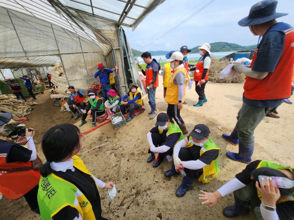 '청양군 수해피해지역 복구자 봉사활동' 사진3