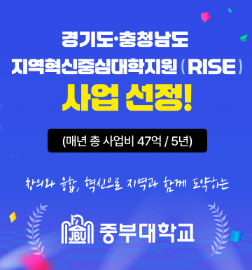 지역혁신중심대학지원
