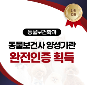 동물보건사