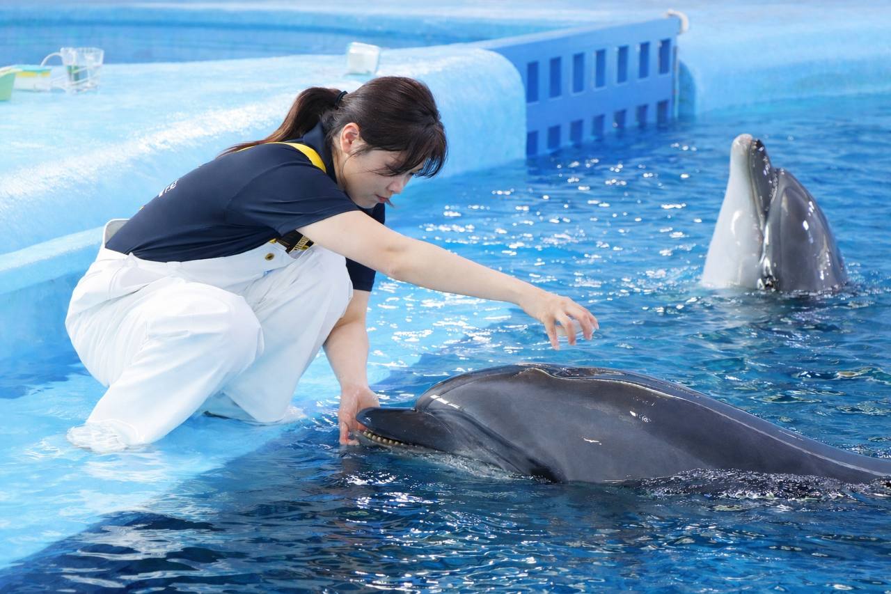 김슬기 교수 사진